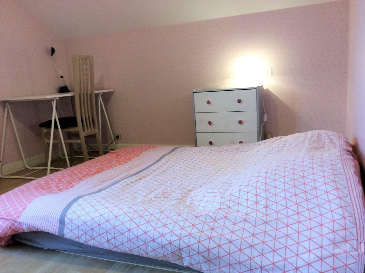 Les Balcons De Lisa Apartment Vieux-Charmont ภายนอก รูปภาพ